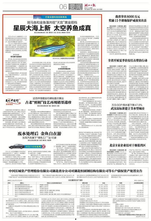 巡查员最新爆料新闻稿件,揭露XX行业惊人内幕  第2张